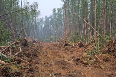 Land Clearing Service