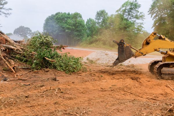 Ground Clearing in Napa