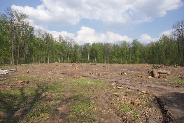 Cost of Pasture Clearing in Napa