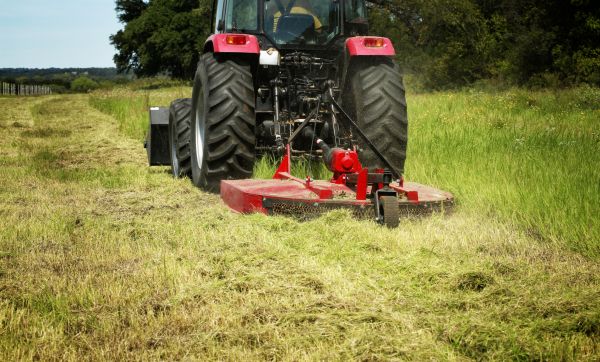 Brush Clearing Service in Napa