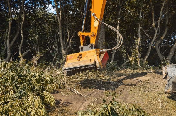 Brush Removal Service in Napa
