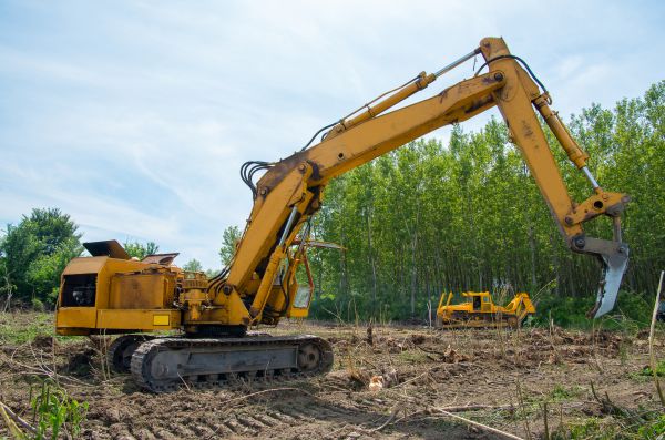 Cost of Farm Clearing in Napa