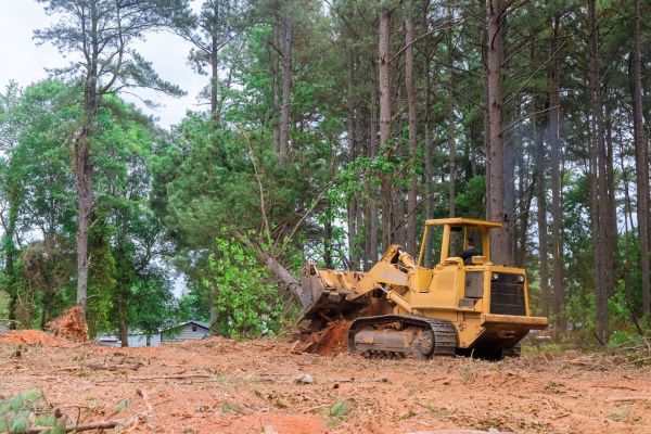 Property Clearing in Napa
