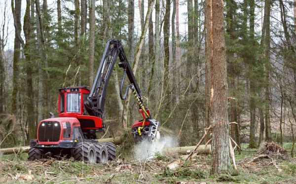 Forest Clearance Service in Napa