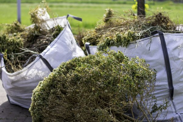 Bushes Clearing in Napa