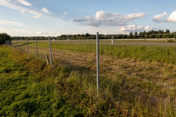 Cost of Property Line Clearing in Napa