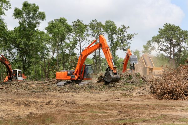 Cost of Commercial Lot Clearing in Napa