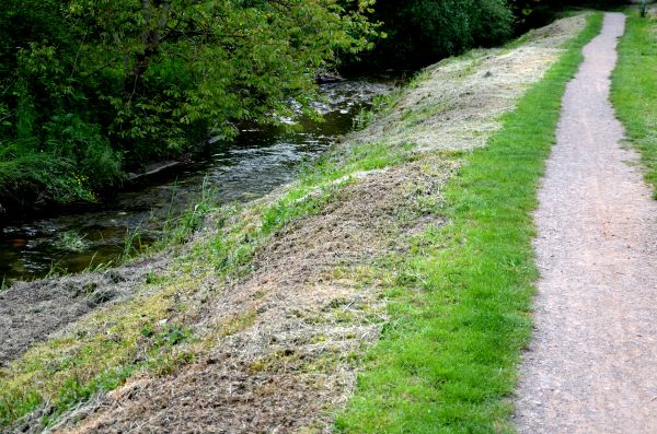 Cost of Trail Cutting in Napa
